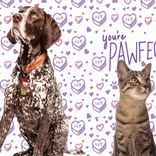 FREE Valentine's Day Card From Your Pet | FreebieRadar.com