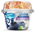 alpina greek yogurt