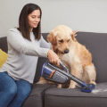 black and decker pet vacuum