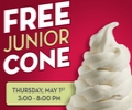carvel free junior cone