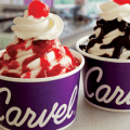 carvel ice cream cup