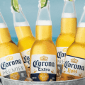 corona beer