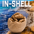 diamond foods in shell sweepstakes