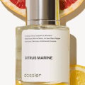 dossier citrus marine perfume