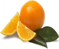 florida orange juice gift pack