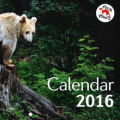 four paws 2016 calendar