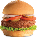 fuddruckers 3 pound burger