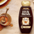 garnier whole blends ginger recovery treatment