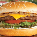 habit burger grill charburger