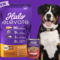 halo elevate dog food