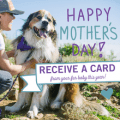 mothers day pet card