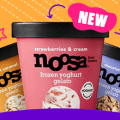 noosa frozen yoghurt gelato