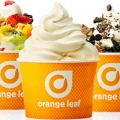 orange leaf yogurt
