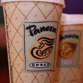 panera bread coffee
