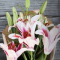 sc johnson flower bouquet sweepstakes