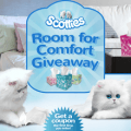 scotties room for comfort giveaway