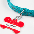 shutterfly pet tag