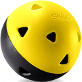 sklz impact balls